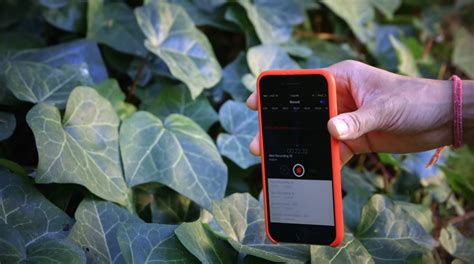 Mosquito Device Sound 的图像结果