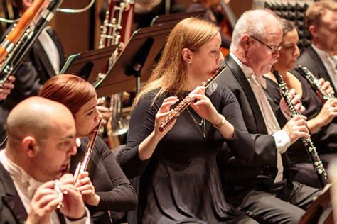 String Section Orchestra 的图像结果