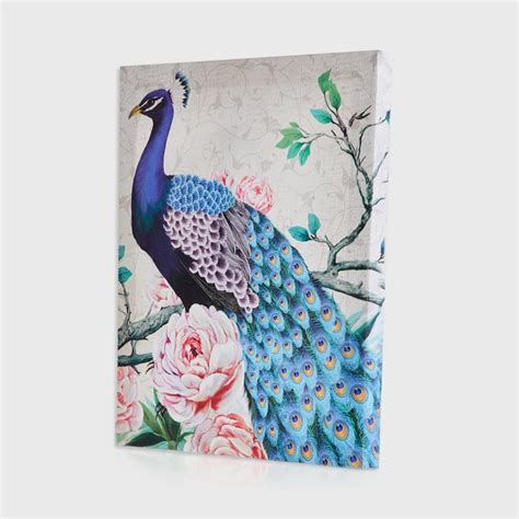 Buy Abbey Peacock Set of 2 Canvas Picture Frames - 25x30cm from Home ...