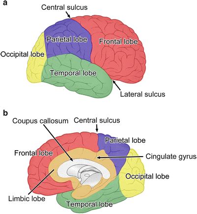 Image result for Cortex-R Vector Table