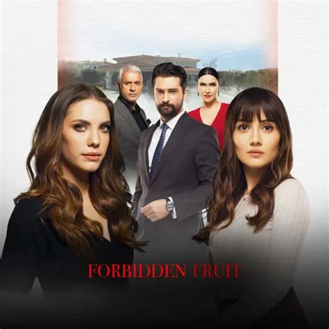 Watch Forbidden Fruit TV Show Latest Episodes Online at Airtel Xstream Play