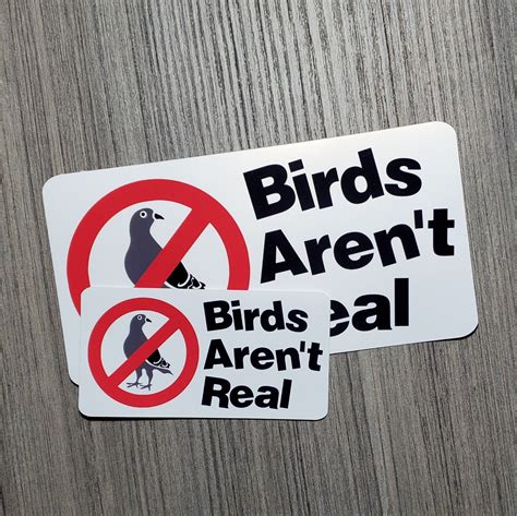 Birds Aren't Real - Laminated Waterproof Vinyl Sticker - 2 Sizes ...
