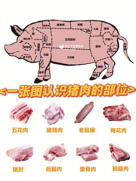 猪身上不同部位的肉，一张图秒懂！再也不用担心被肉贩子忽悠了