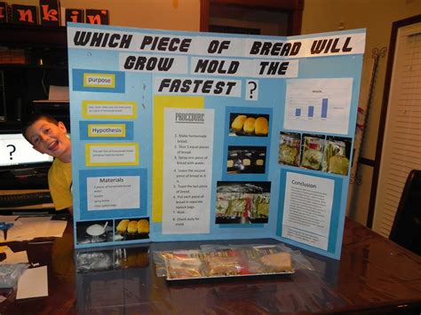 Image result for Falling Bread Experiment