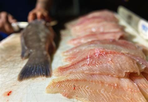 Image result for How to Cook Fish Fillet