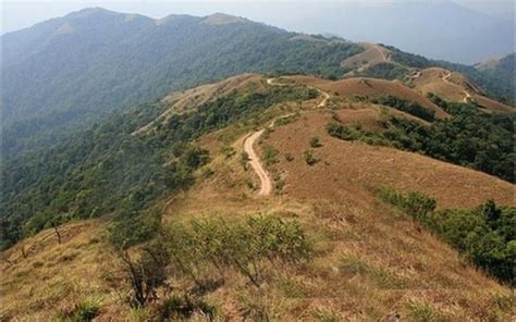 Experience Unparalleled Natural Beauty On Your Trip To Sakleshpur ...