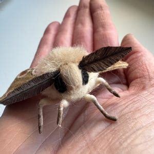 Image result for Moth Corpse Bride Stencil