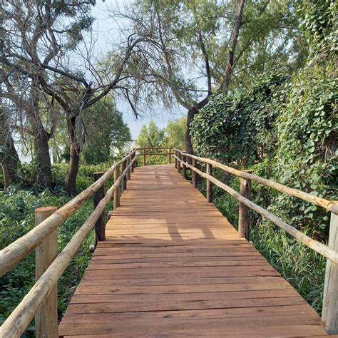 ISLOTE CURUPÍ - All You SHOULD Know Before Going 2026 (with Photos ...