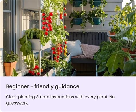 Buy Trowel/ Spade/ Desi Khurpa (Gardening Tool)- Rs.199/- Sale Online ...