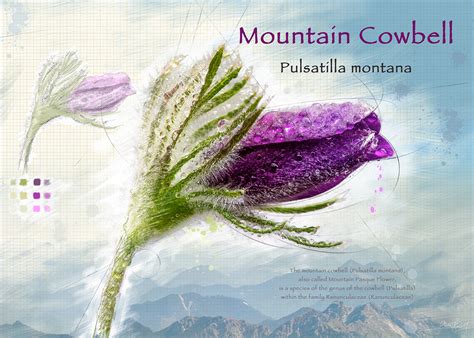 Image result for Flower Project