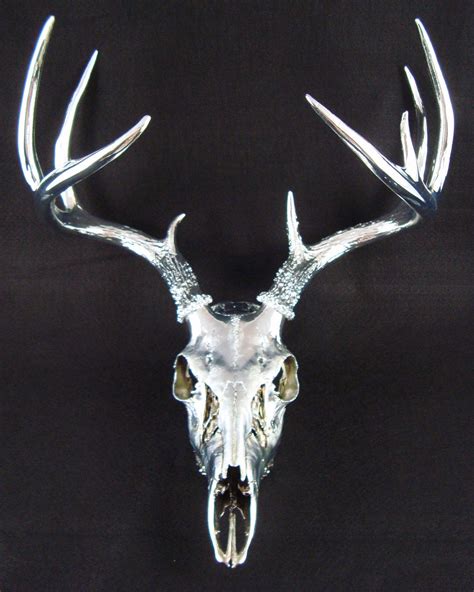 Deer Skull