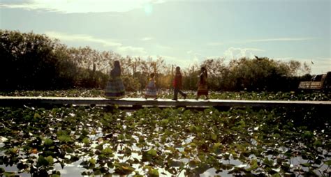 Florida Everglades Tribe Cultural Preservation Success