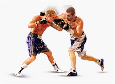 Boxing Transparent 的图像结果