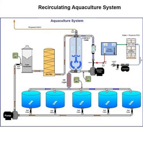 Recirculating Aquaculture System - RAS Aquaculture System Manufacturer ...