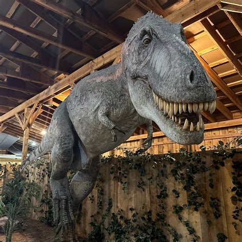 DINOSAUR MUSEUM (2026) All You Need to Know BEFORE You Go (with Photos ...