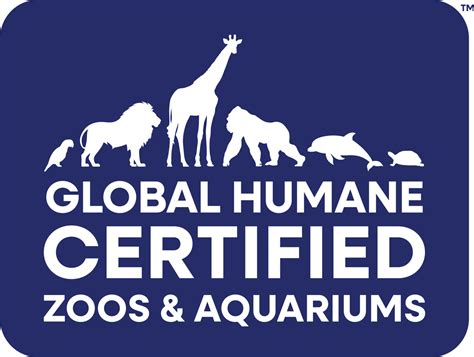 Swim With The Otters | Tanganyika Wildlife Park