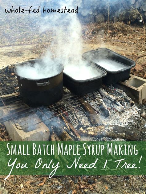 Image result for Making Maple Syrup