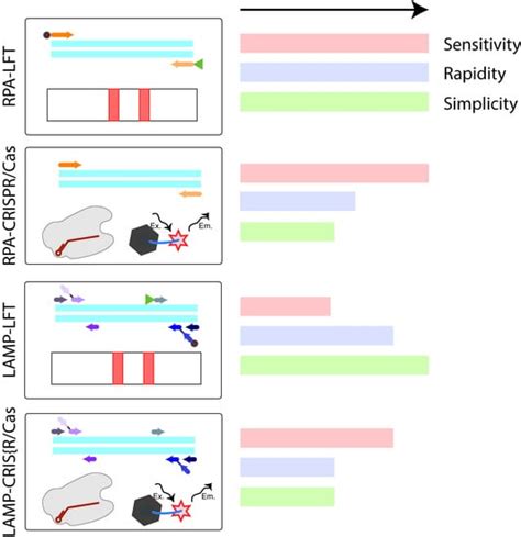 Comparison of Biosensing Methods Based on Different Isothermal ...