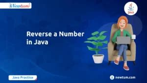 Image result for Unique Elements 10 in Java