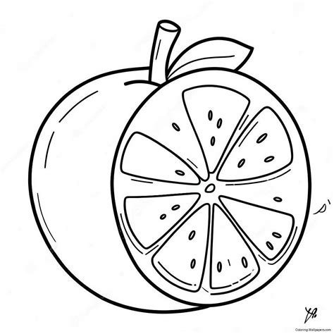 Orange Fruit Coloring Page (14400-11330)