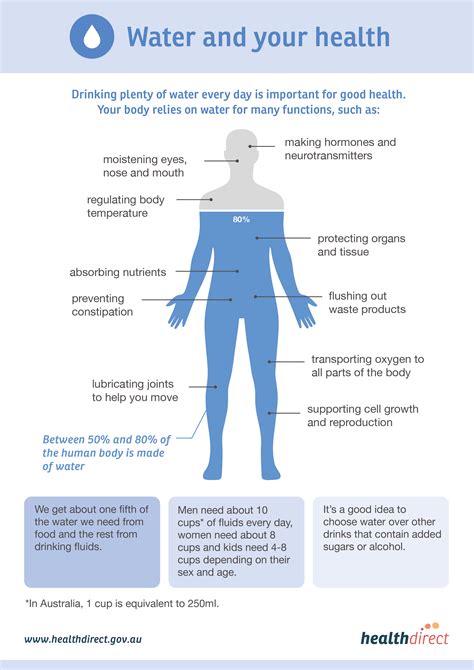 The Importance of Daily Water Intake for Your Health - E Phlebotomy Training