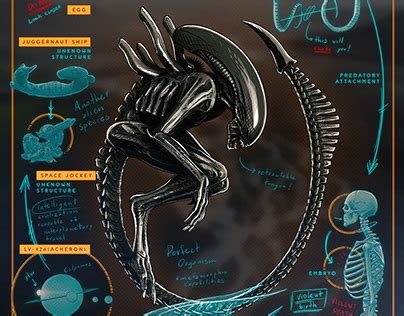 Image result for Prometheus Xenomorph