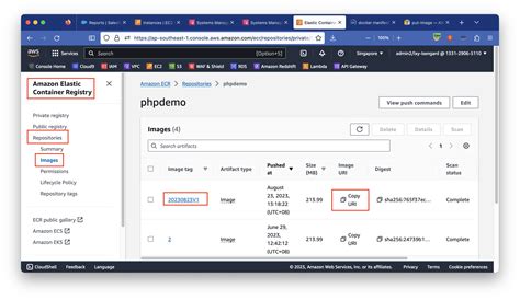ECR Java 的图像结果