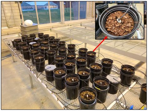 A Base Layer of Ferrous Sulfate-Amended Pine Bark Reduces Phosphorus ...