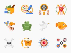 Biological Function Icon 的图像结果