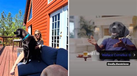 ‘I took that personally’: CNN’s Natasha Bertrand reacts to Trump’s ...