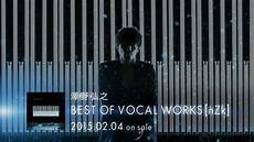Which Is Right For Me by ζΎ€ιεΌδΉ Bestof Vocal Works Nzk Digest Which Is Right For Me