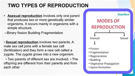 Image result for Reproduction in Animals Practical Video