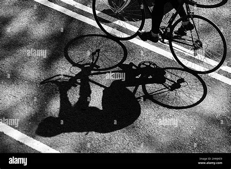 Cycling Black and White 的图像结果