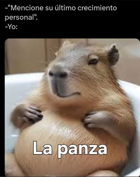 Instagram video by Facu Torres • Aug 8, 2024 at 1:26 PM