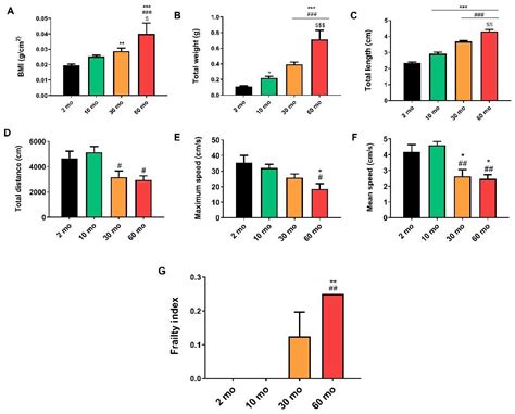 Zebrafish as a Model for Studying Age-Dependent Sarcopenia and Frailty ...