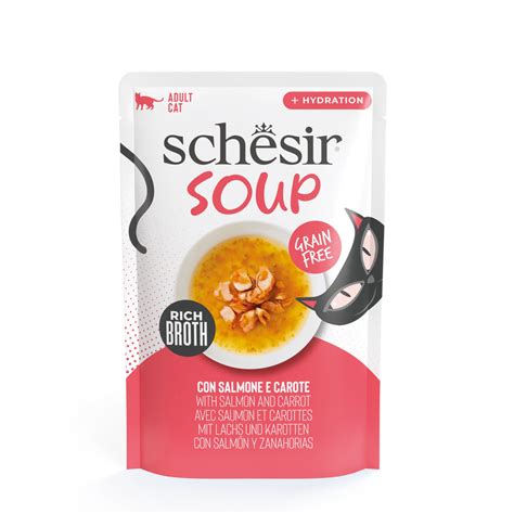 Schesir Soup Cat Wet Food in Soup Pouch-Salmon With Carrot 40g [MOQ ...