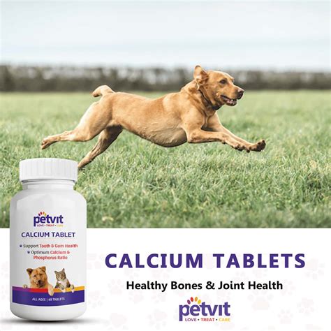 Buy PETVIT CALCIUM FOR DOG AND CAT FOR STRONGER BONES TEETH-GROWTH IN ...