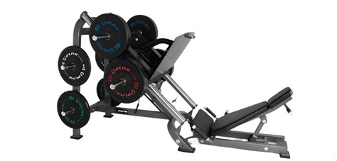 Image result for Muscles et Machines