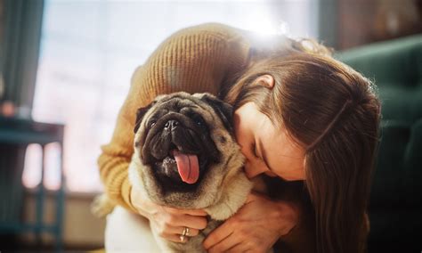 Can Dogs And Humans Get The Same Bug at Rosalind Caine blog