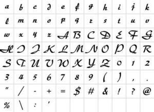 Image result for Embird Digitizing Tutorial