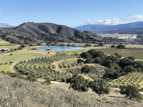 Santa Ynez Wine Trail - Santa Barbara County Vintners