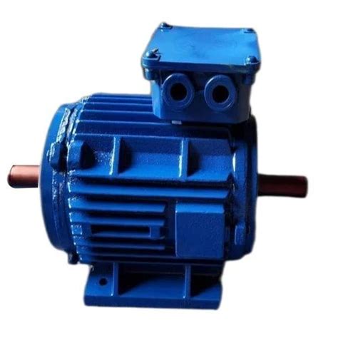 Phase Motors Manufacturer, Phase Motors Supplier