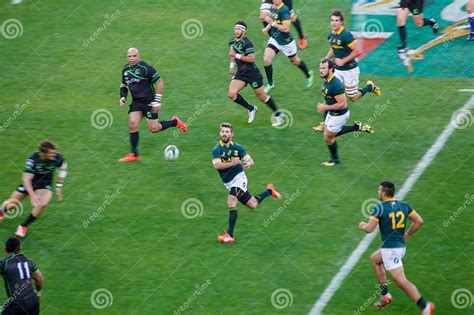 South African Rugby 的图像结果