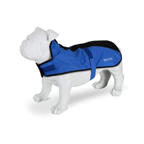 Best Waterproof Dog Walking Coat – Our Choices For Owners AND Dogs