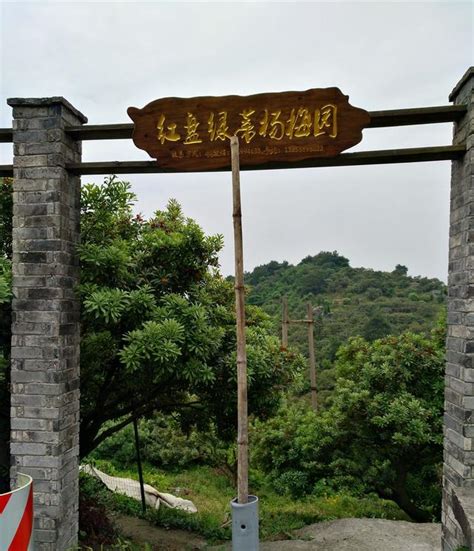 梅泉社区_浙江省温州市瓯海区茶山街道梅泉社区邮编旅游景点文化特产美食交通_村网