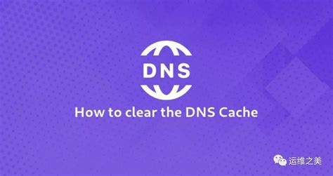 DNS是什么意思？DNS错误会怎样？DNS怎么设置？ - 知乎