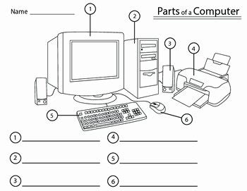 Computer Basics Worksheet Answer Key 的图像结果