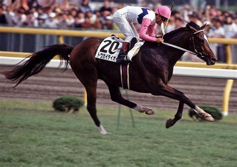 トウカイテイオー 1991年 - STAY HORSE展 ｜ netkeiba.com