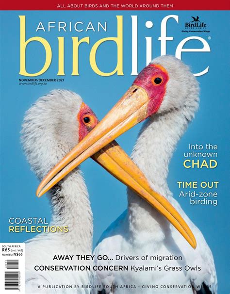 Get digital access to African Birdlife - November/December 2021 issue ...