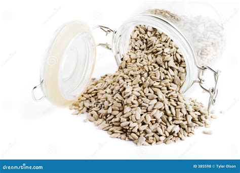 Bulk Sunflower Seeds stock photo. Image of item, health - 385598